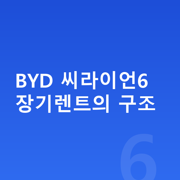 BYD 씨라이언6 장기렌트 BYD 씨라이언6 장기렌트의 구조