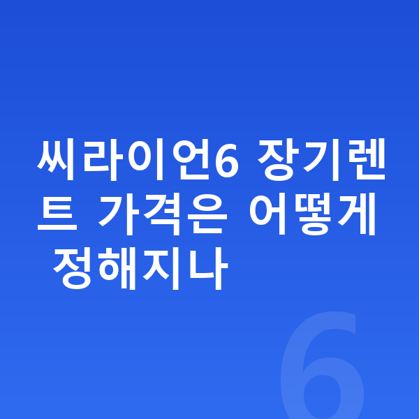 BYD 씨라이언6 장기렌트 가격 씨라이언6 장기렌트 가격은 어떻게 정해지나