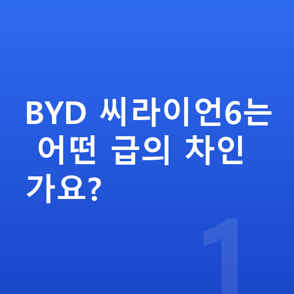 BYD 씨라이언6 제원 BYD 씨라이언6는 어떤 급의 차인가요?