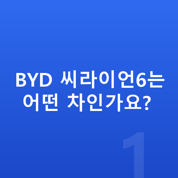BYD 씨라이언6 풀체인지 BYD 씨라이언6는 어떤 차인가요?