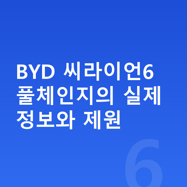 BYD 씨라이언6 풀체인지 BYD 씨라이언6 풀체인지의 실제 정보와 제원