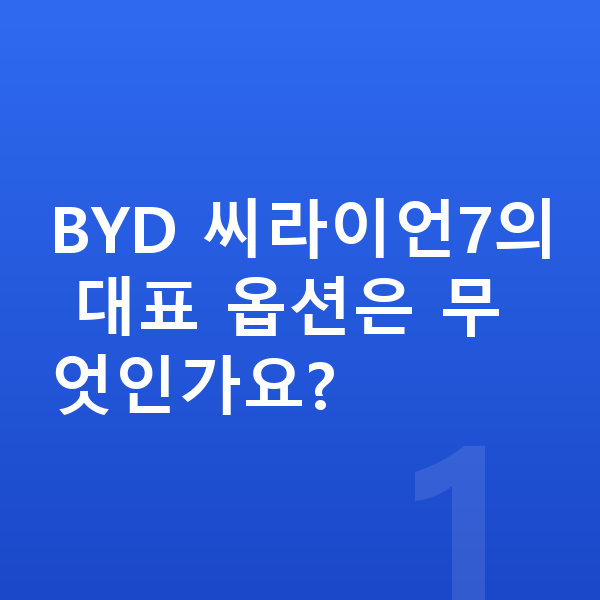 BYD 씨라이언7 옵션 BYD 씨라이언7의 대표 옵션은 무엇인가요?