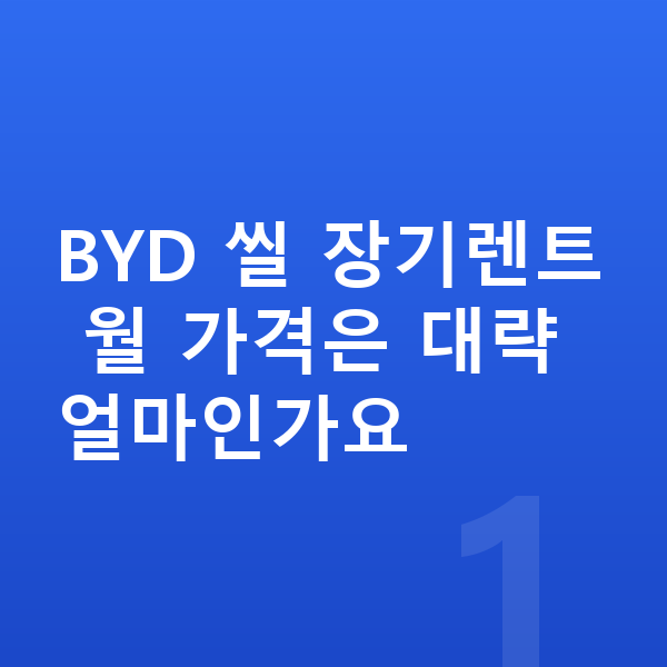 BYD 씰 가격 BYD 씰 장기렌트 월 가격은 대략 얼마인가요