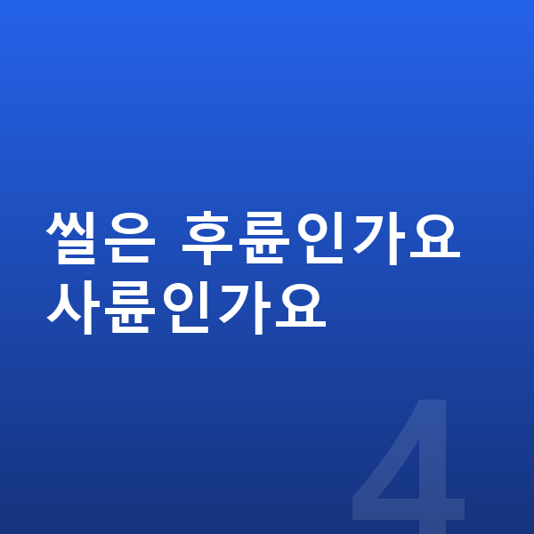 BYD 씰 가격 씰은 후륜인가요 사륜인가요