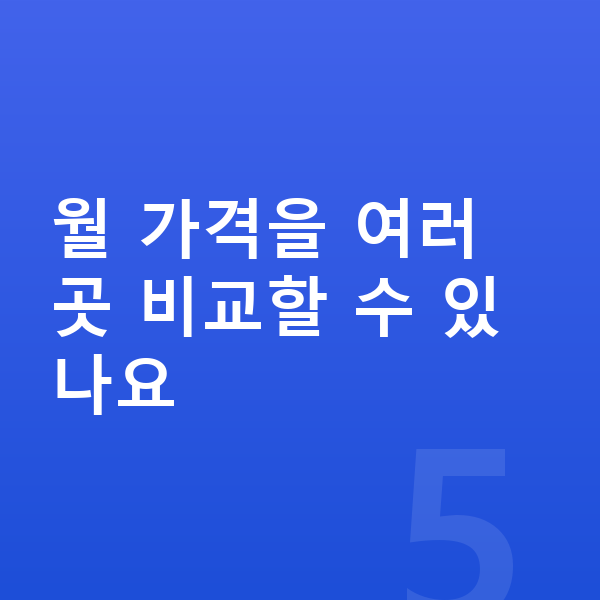 BYD 씰 가격 월 가격을 여러 곳 비교할 수 있나요