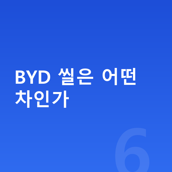 BYD 씰 가격 BYD 씰은 어떤 차인가