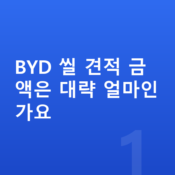 BYD 씰 견적 BYD 씰 견적 금액은 대략 얼마인가요