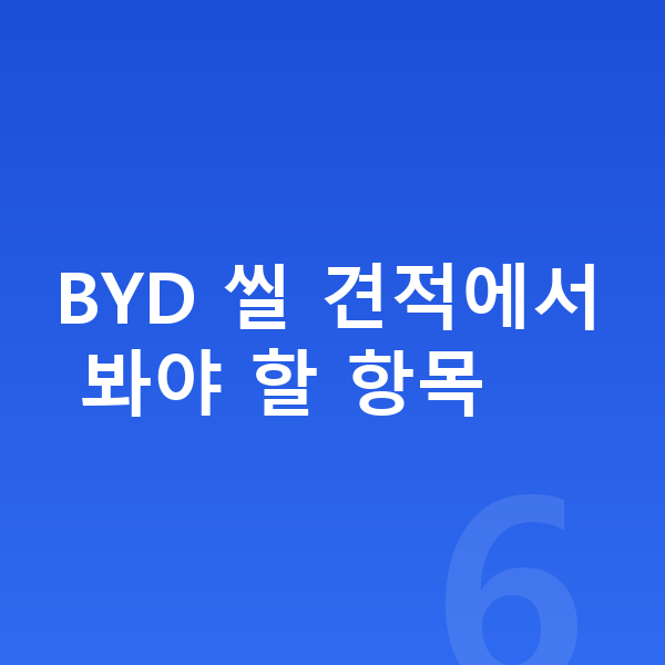 BYD 씰 견적 BYD 씰 견적에서 봐야 할 항목