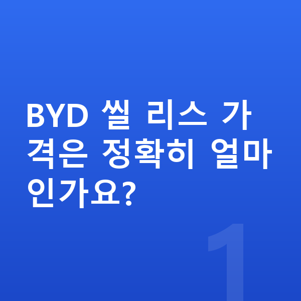 BYD 씰 리스 가격 BYD 씰 리스 가격은 정확히 얼마인가요?