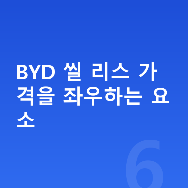BYD 씰 리스 가격 BYD 씰 리스 가격을 좌우하는 요소