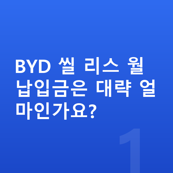 BYD 씰 리스 월납입금 BYD 씰 리스 월납입금은 대략 얼마인가요?