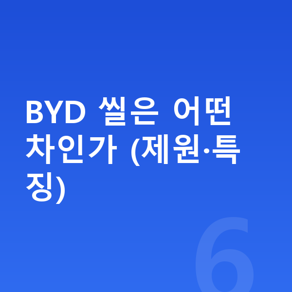 BYD 씰 리스 월납입금 BYD 씰은 어떤 차인가 (제원·특징)