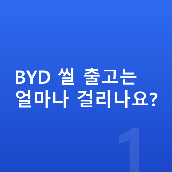BYD 씰 리스 출고기간 BYD 씰 출고는 얼마나 걸리나요?