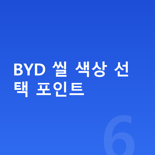 BYD 씰 색상 BYD 씰 색상 선택 포인트