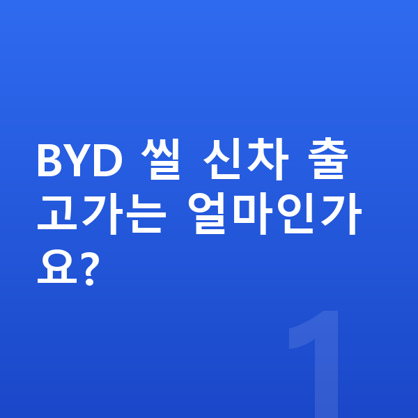 BYD 씰 신차 BYD 씰 신차 출고가는 얼마인가요?