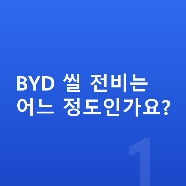 BYD 씰 연비 BYD 씰 전비는 어느 정도인가요?