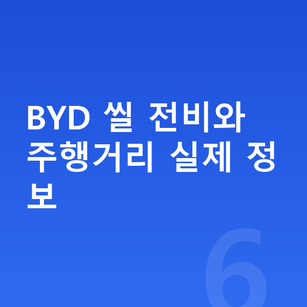 BYD 씰 연비 BYD 씰 전비와 주행거리 실제 정보