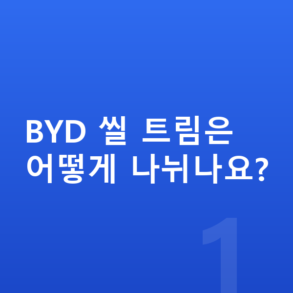 BYD 씰 옵션 BYD 씰 트림은 어떻게 나뉘나요?