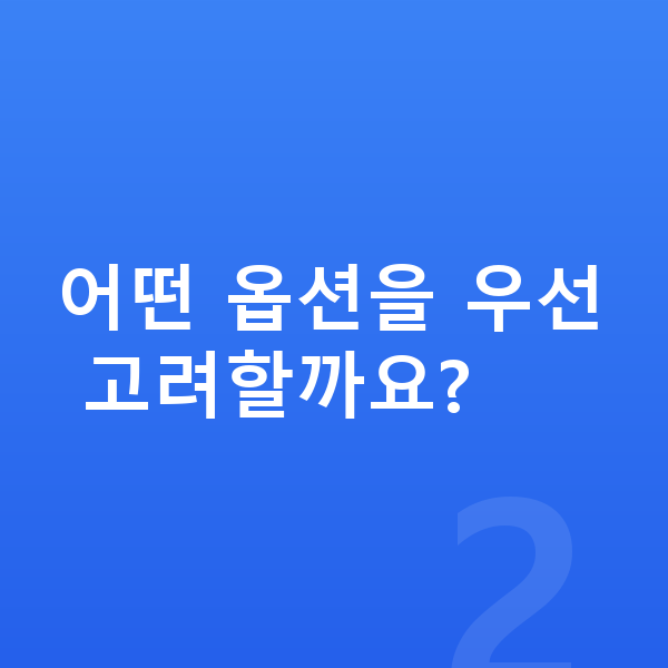 BYD 씰 옵션 어떤 옵션을 우선 고려할까요?