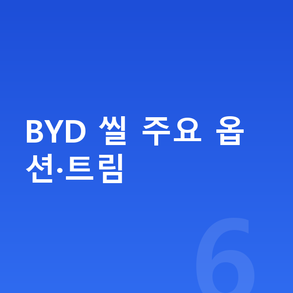 BYD 씰 옵션 BYD 씰 주요 옵션·트림