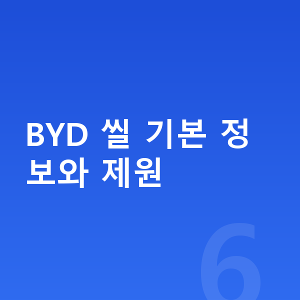 BYD 씰 장기렌트 BYD 씰 기본 정보와 제원