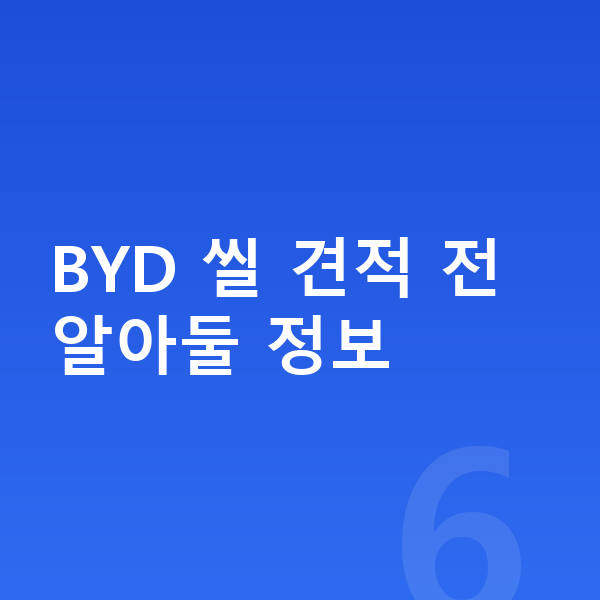 BYD 씰 장기렌트 견적 BYD 씰 견적 전 알아둘 정보