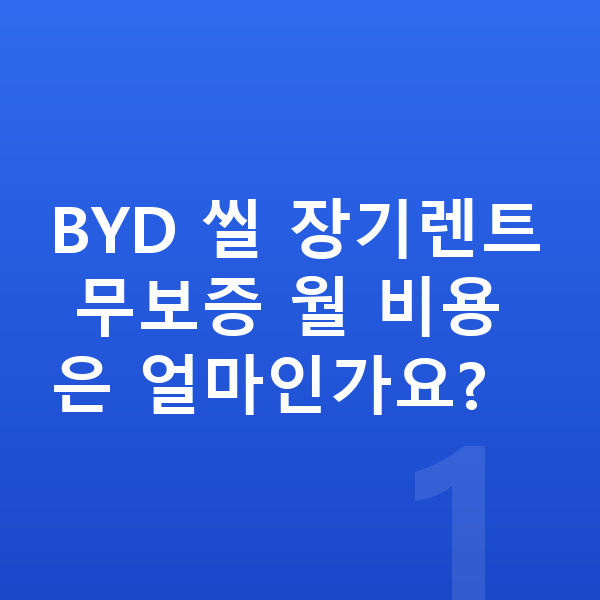BYD 씰 장기렌트 무보증 BYD 씰 장기렌트 무보증 월 비용은 얼마인가요?