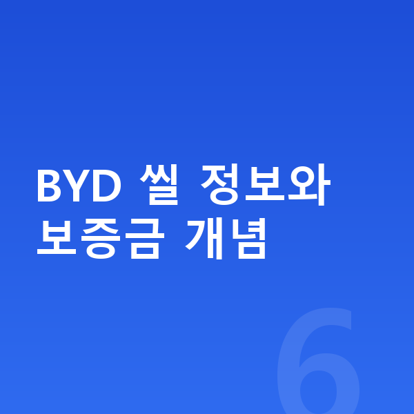 BYD 씰 장기렌트 보증금 BYD 씰 정보와 보증금 개념