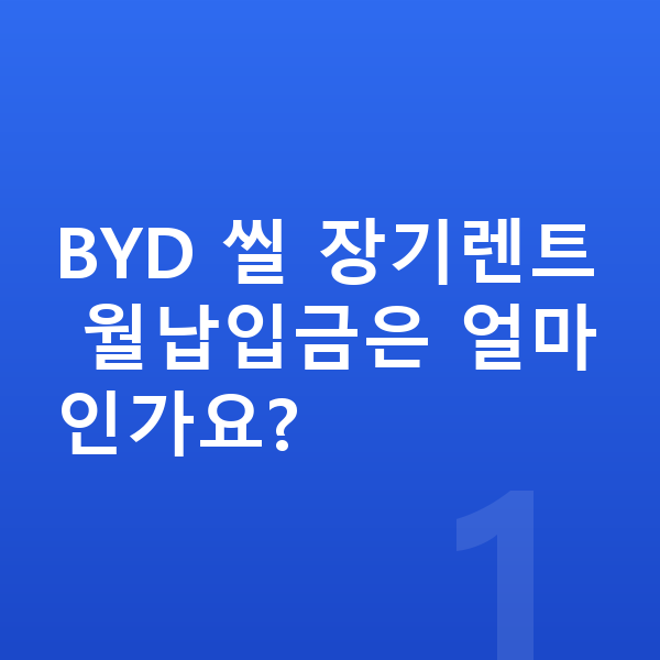 BYD 씰 장기렌트 월납입금 BYD 씰 장기렌트 월납입금은 얼마인가요?