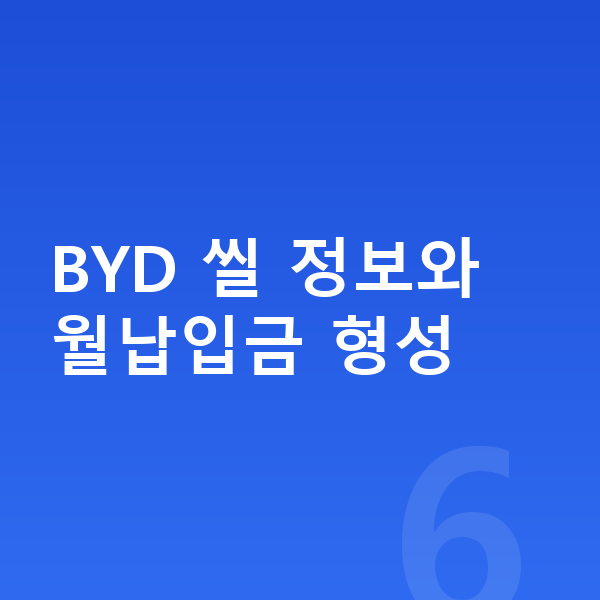 BYD 씰 장기렌트 월납입금 BYD 씰 정보와 월납입금 형성