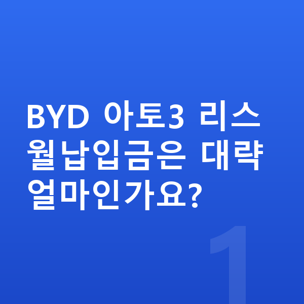 BYD 아토3 리스 월납입금 BYD 아토3 리스 월납입금은 대략 얼마인가요?