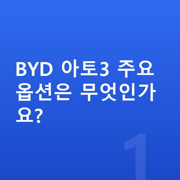 BYD 아토3 옵션 BYD 아토3 주요 옵션은 무엇인가요?