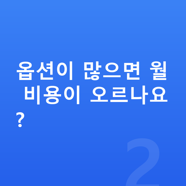 BYD 아토3 옵션 옵션이 많으면 월 비용이 오르나요?
