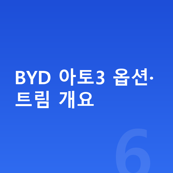 BYD 아토3 옵션 BYD 아토3 옵션·트림 개요