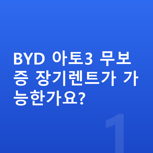 BYD 아토3 장기렌트 무보증 BYD 아토3 무보증 장기렌트가 가능한가요?