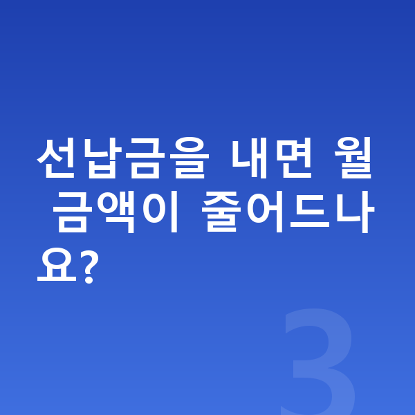 BYD 아토3 장기렌트 월납입금 선납금을 내면 월 금액이 줄어드나요?