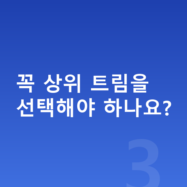 KGM 액티언 옵션 꼭 상위 트림을 선택해야 하나요?