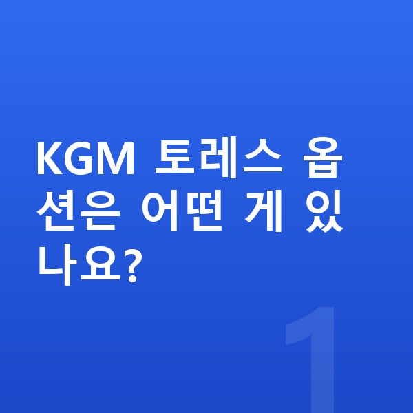 KGM 토레스 옵션 KGM 토레스 옵션은 어떤 게 있나요?