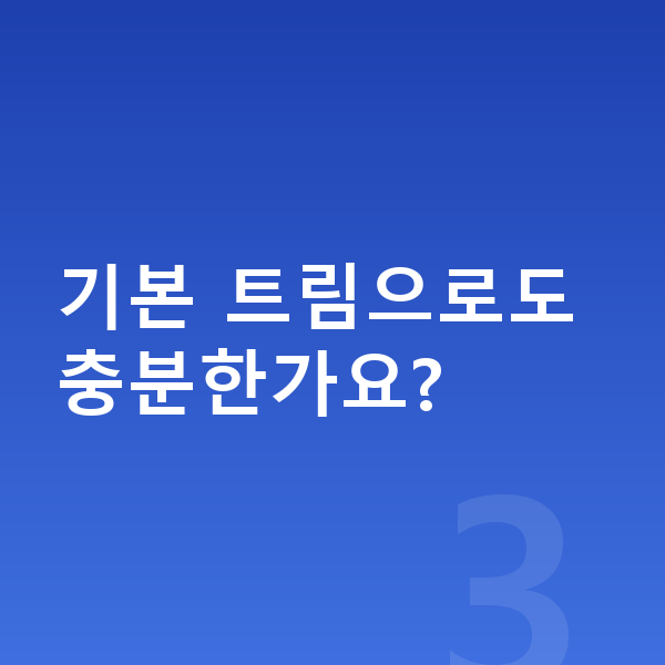 KGM 토레스 옵션 기본 트림으로도 충분한가요?