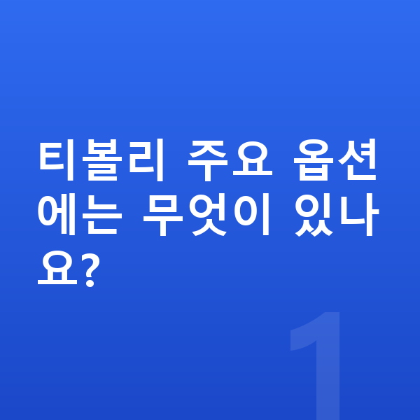 KGM 티볼리 옵션 티볼리 주요 옵션에는 무엇이 있나요?