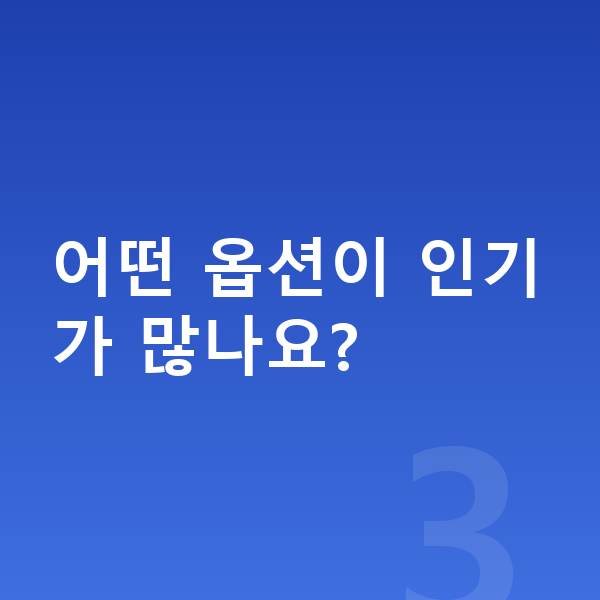 기아 EV3 옵션 어떤 옵션이 인기가 많나요?