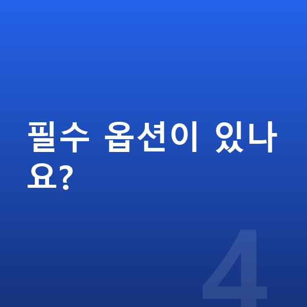 기아 EV6 옵션 필수 옵션이 있나요?