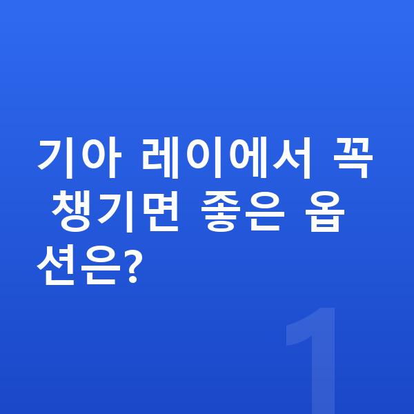 기아 레이 옵션 기아 레이에서 꼭 챙기면 좋은 옵션은?
