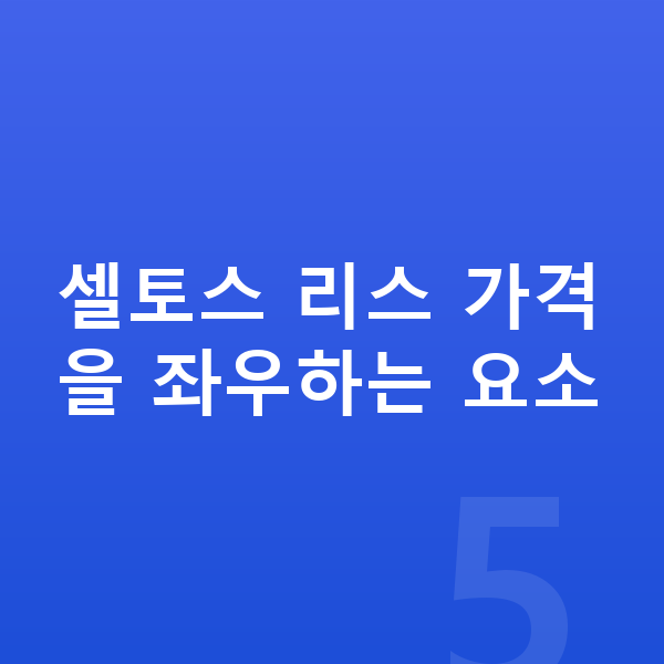 기아 셀토스 리스 가격 셀토스 리스 가격을 좌우하는 요소