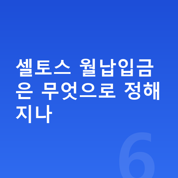 기아 셀토스 리스 월납입금 셀토스 월납입금은 무엇으로 정해지나