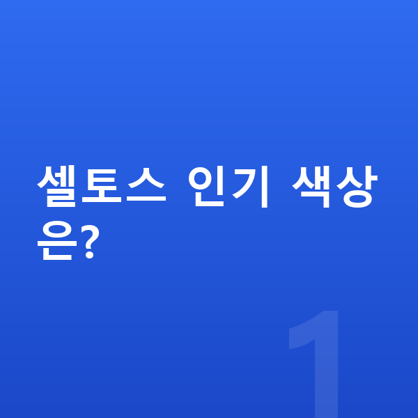 기아 셀토스 색상 셀토스 인기 색상은?