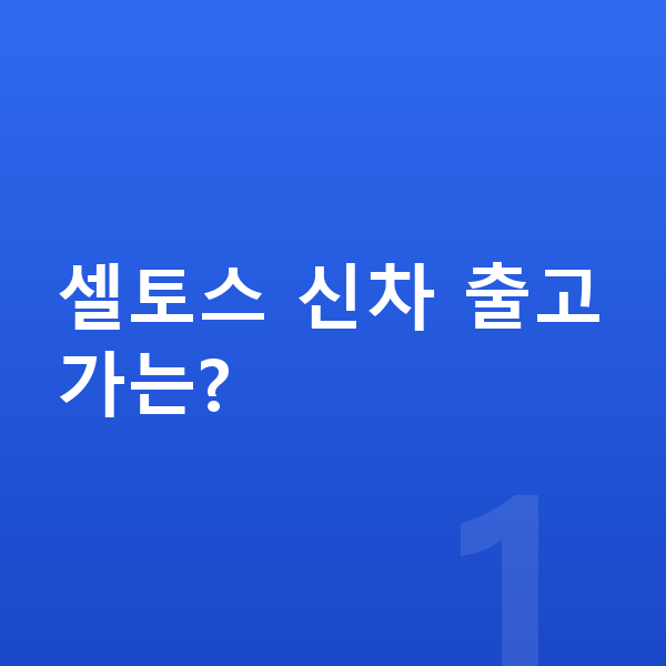기아 셀토스 신차 셀토스 신차 출고가는?