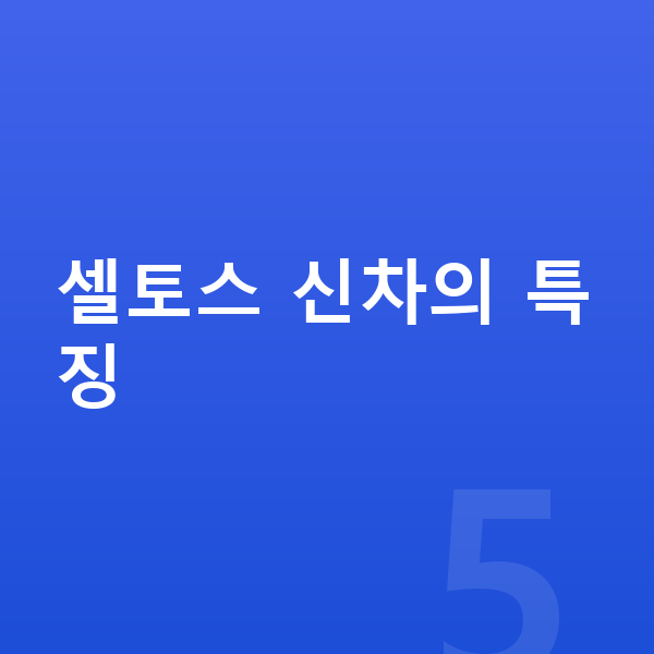 기아 셀토스 신차 셀토스 신차의 특징