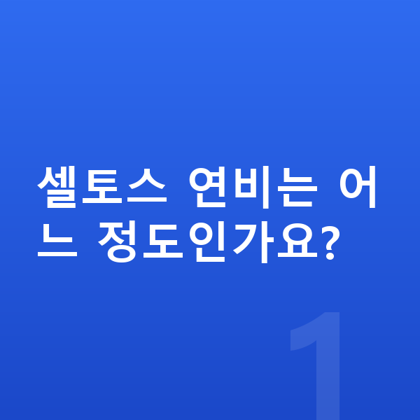 기아 셀토스 연비 셀토스 연비는 어느 정도인가요?