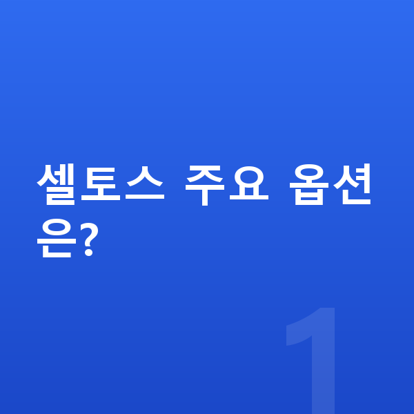기아 셀토스 옵션 셀토스 주요 옵션은?